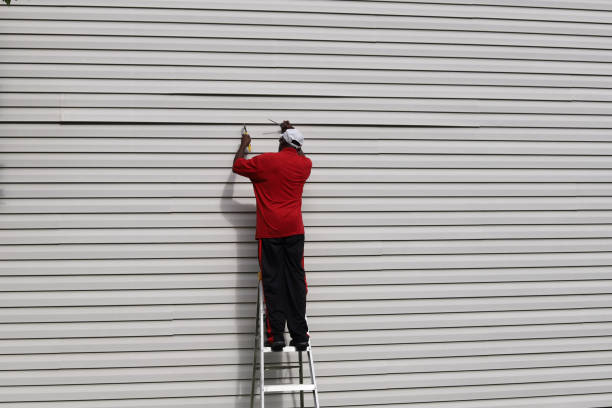 Best Aluminum Siding Installation  in Albertville, MN